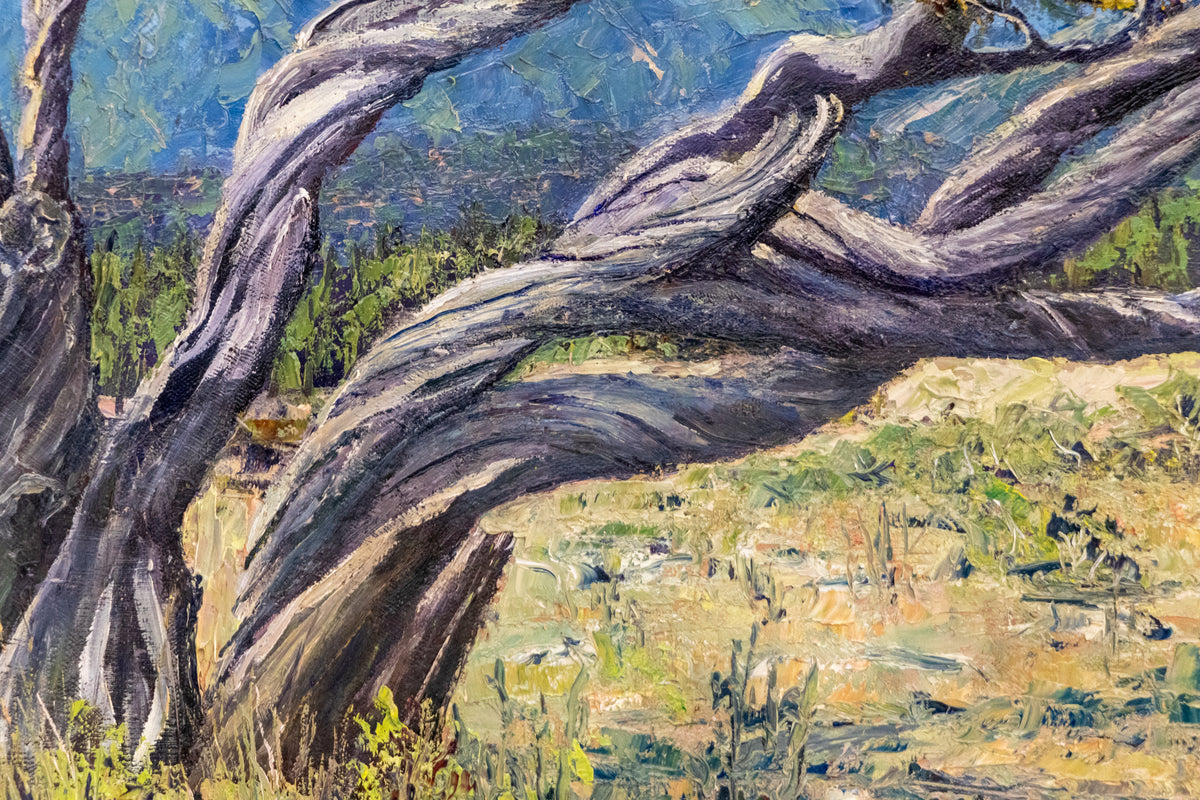 Battered by Wind and Storms, Sangre de Cristos (Colorado), Painting, circa 1980