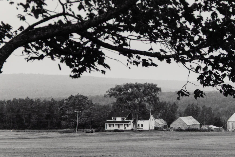 Untitled (Colorado Homestead), Photograph