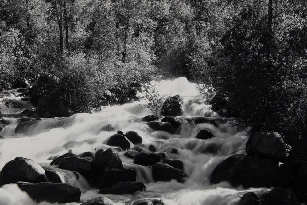 Untitled (Spring Runoff), Photograph
