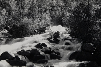 Untitled (Spring Runoff), Photograph