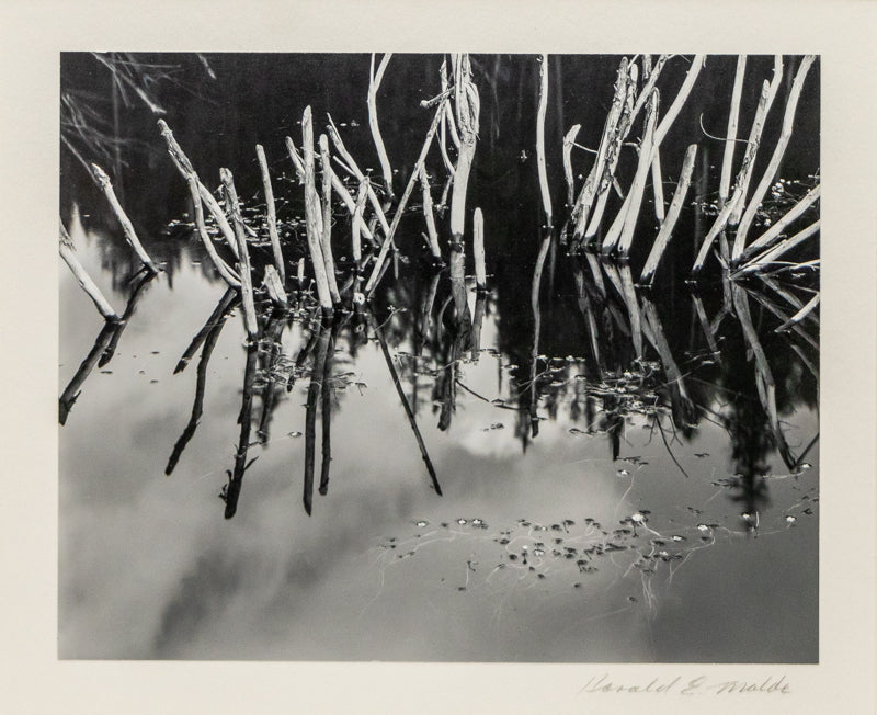 Harold Malde, Untitled (Reflecting Reeds and Sky in a Pond), photograph on paper Photograph