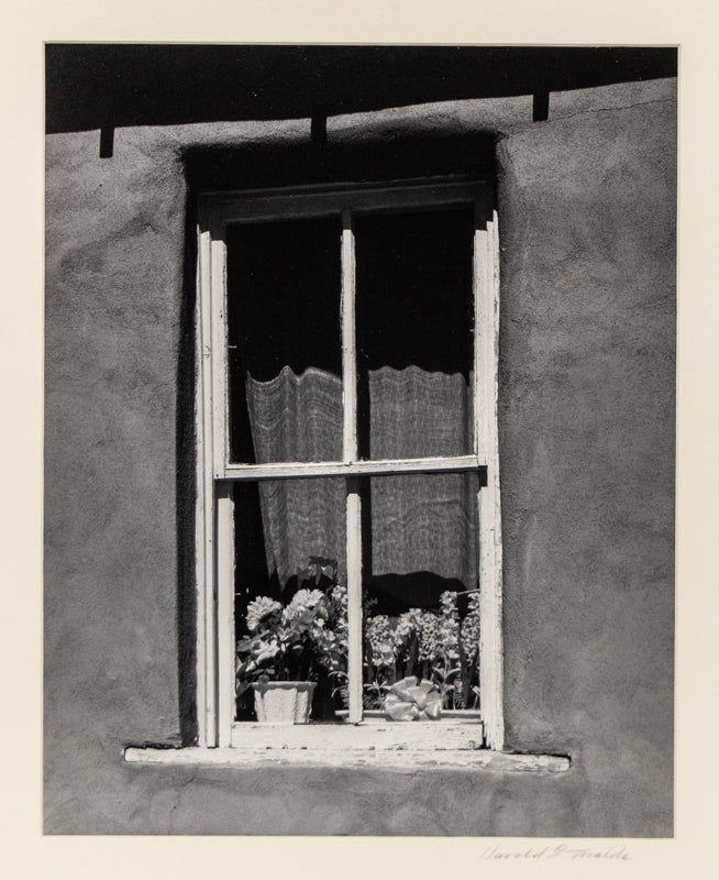 Golden, New Mexico (Window with Flowers), Photograph