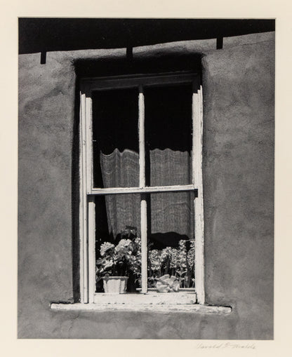 Golden, New Mexico (Window with Flowers), Photograph