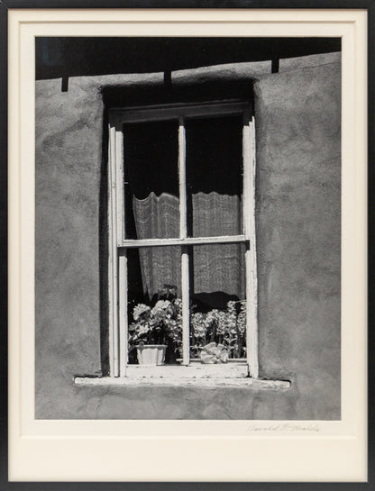 Golden, New Mexico (Window with Flowers), Photograph