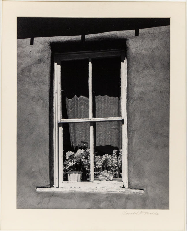 Golden, New Mexico (Window with Flowers), Photograph
