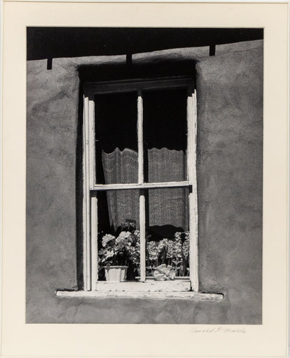Golden, New Mexico (Window with Flowers), Photograph