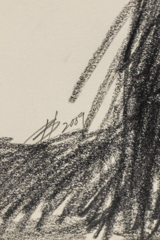 Untitled (Native American Portrait), Drawing, dated 2009