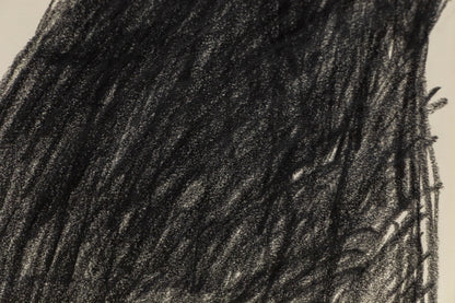 Untitled (Native American Portrait), Drawing, dated 2009