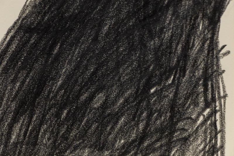 Untitled (Native American Portrait), Drawing, dated 2009