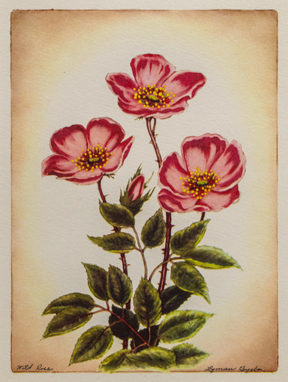Wild Rose, Print