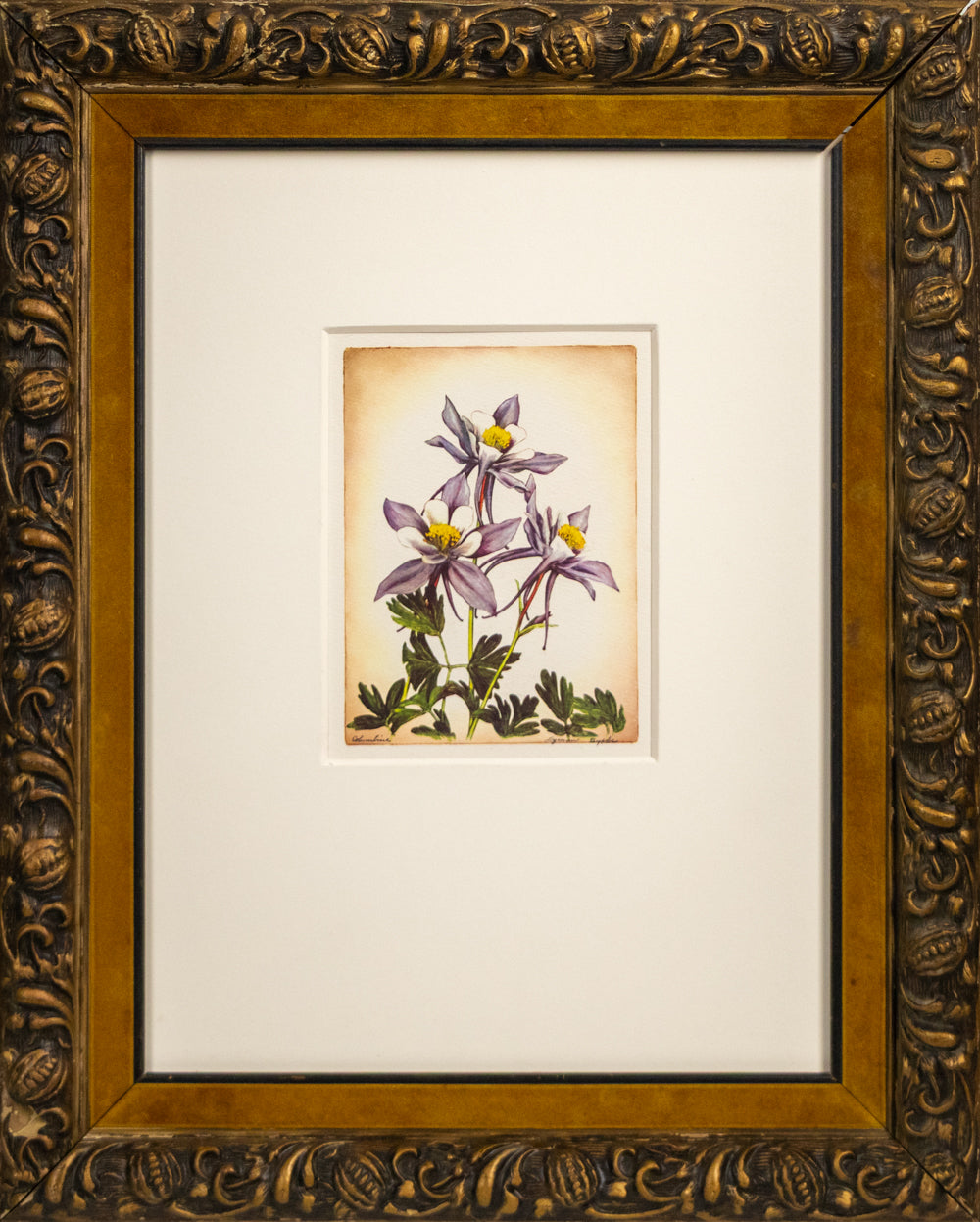 Columbine, Print