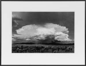 Myron Wood, Sheep, Storm, South Park, Colorado, landscape, clouds, black, white,  photograph, 1967, 1960s, Fine art, art, for sale, buy, purchase, Denver, Colorado, gallery, historic, antique, vintage, artwork, original, authentic