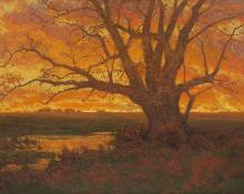 Charles Partridge Adams, "Untitled (Tree at Sunset, Colorado)", oil, c. 1900  painting for sale