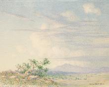 Reproduções De Belas Artes Sem título (tradução para Springtime, Paradise  Valley Arizona), 1920 por George Elbert Burr (1859-1939)