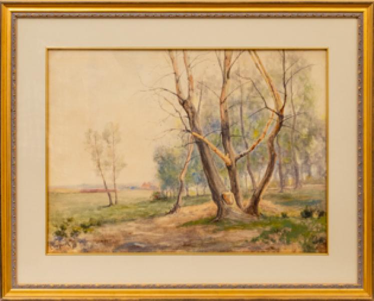 Alexis Comparet, Spring Trees, Near Denver, Colorado, watercolor, 1888, landcape, painting, 19th century, Fine art, art, for sale, buy, purchase, Denver, Colorado, gallery, historic, antique, vintage, artwork, original, authentic, compera, alexis 